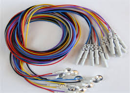 900291.jpg